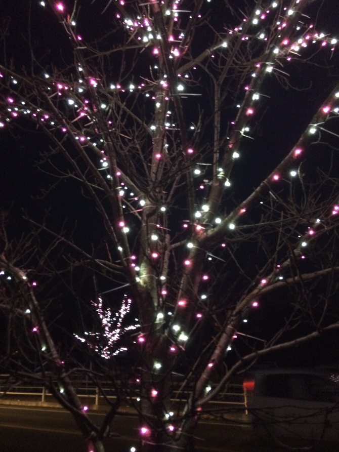 img_20141122-235333.jpg