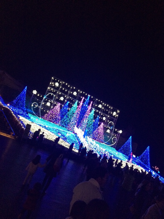 img_20141122-235533.jpg
