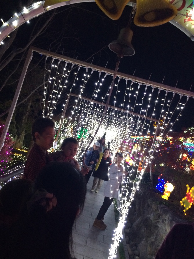 img_20141123-000234.jpg