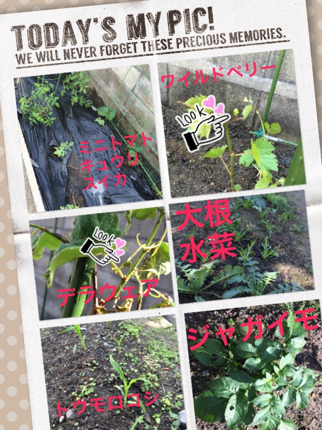 img_20150429-091323.jpg