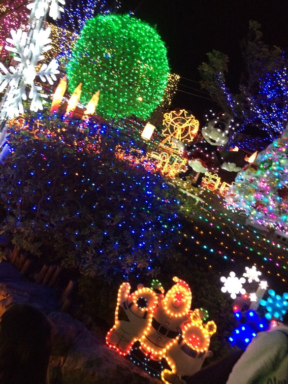 img_20151122-215442.jpg