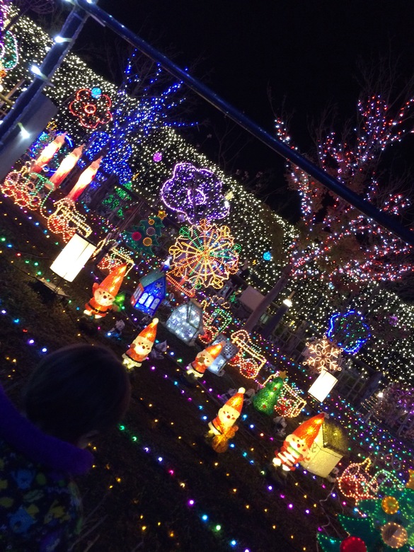 img_20151122-215542.jpg