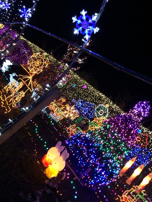 img_20151122-215555.jpg