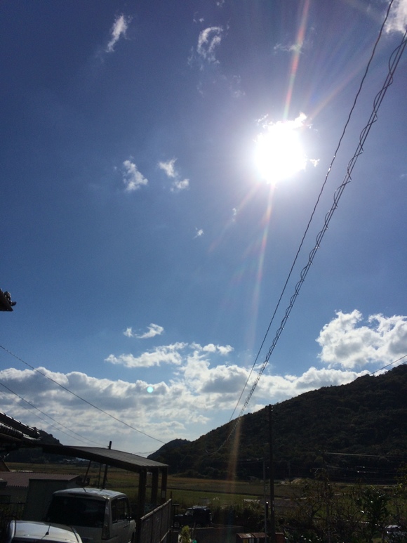 img_20141103-103418.jpg