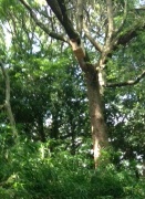 img_20150816-234538.jpg