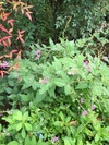 img_20151004-003538.jpg