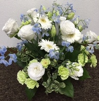 img_20151013-221842.jpg
