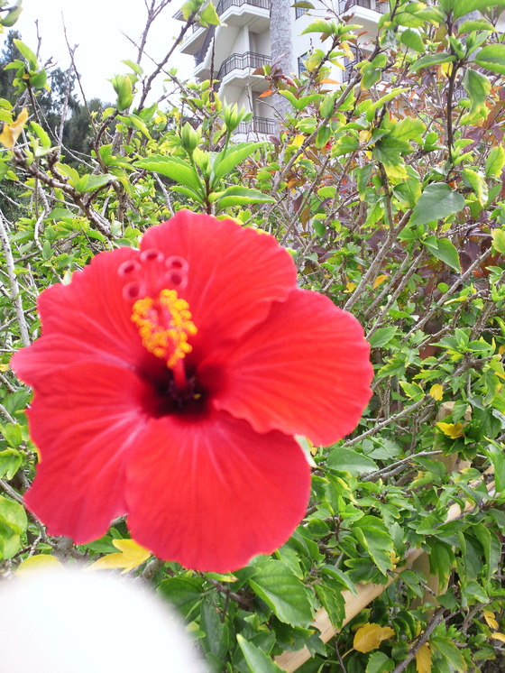img_20131222-153747.jpg