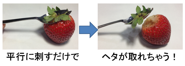 img_20141217-134428.png
