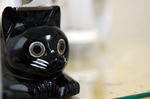 黒猫好きです 画像