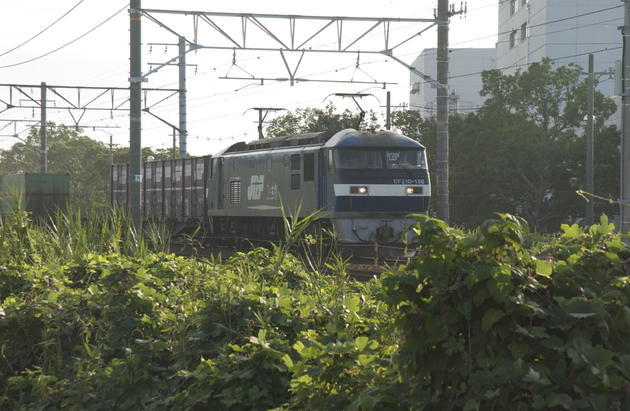 img_20140712-205141.jpg