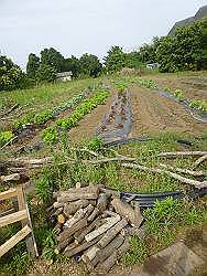 img_20140603-002134.jpg