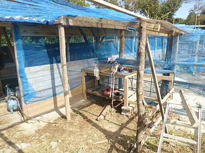 img_20141107-185114.jpg