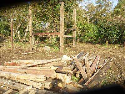 img_20141111-200441.jpg