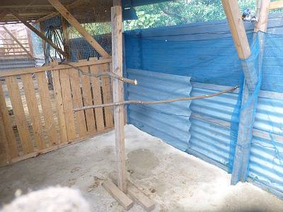 img_20141116-193212.jpg