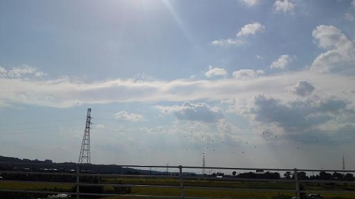 白龍が駆ける画像