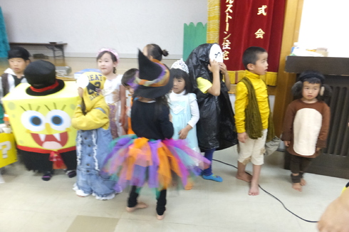 img_20151109-164923.jpg