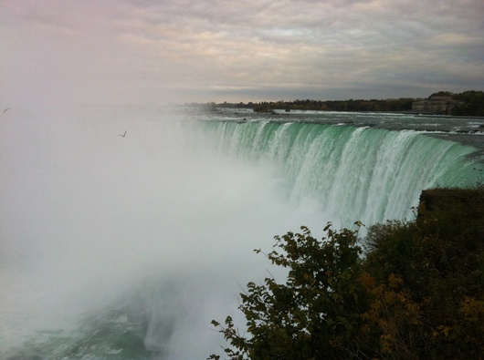 img_20141014-090620.jpg