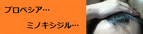img_20161219-182907.gif