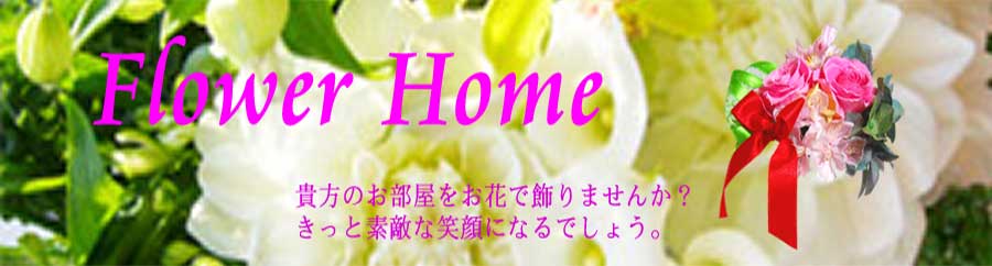 img_20140220-210652.jpg
