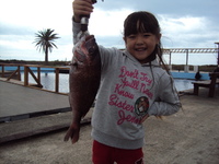 img_20160125-141614.jpg