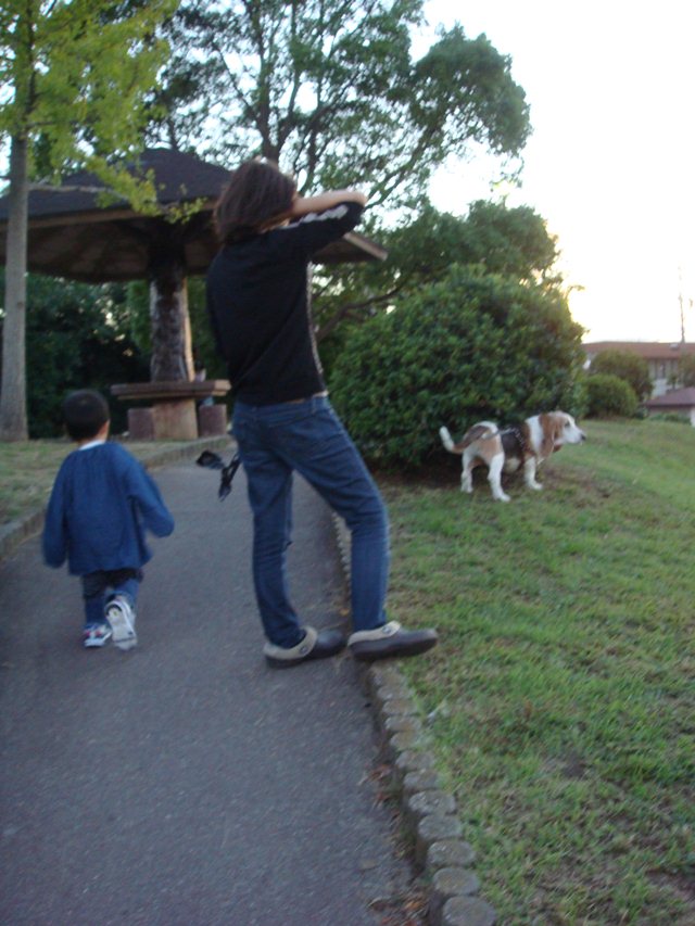 武蔵の散歩☆画像