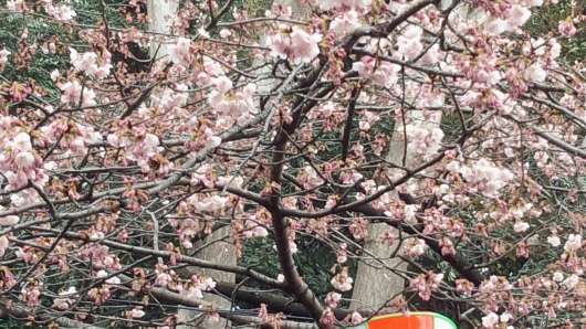 img_20120327-141358.jpg