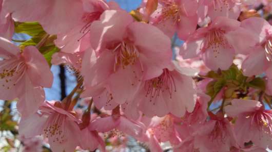 img_20120327-141824.jpg