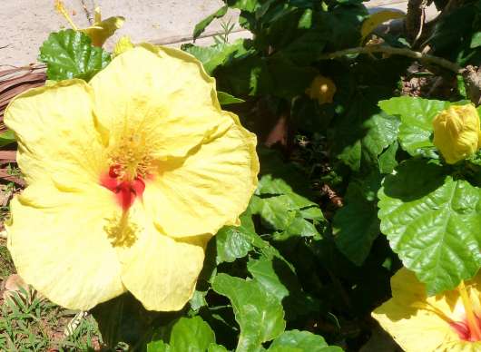 img_20120507-194746.jpg