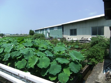 img_20140809-125733.jpg