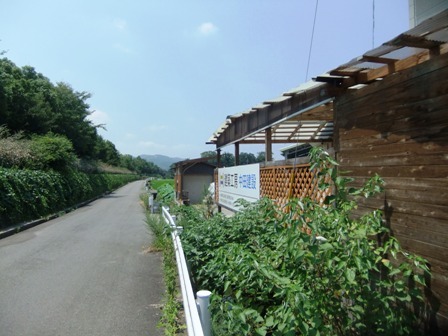 img_20140809-125745.jpg