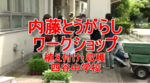 �摜