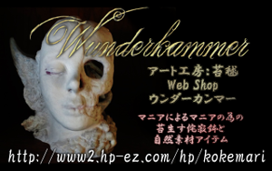 img_20150305-151643.png
