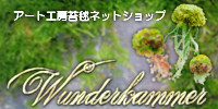 img_20150610-202255.png