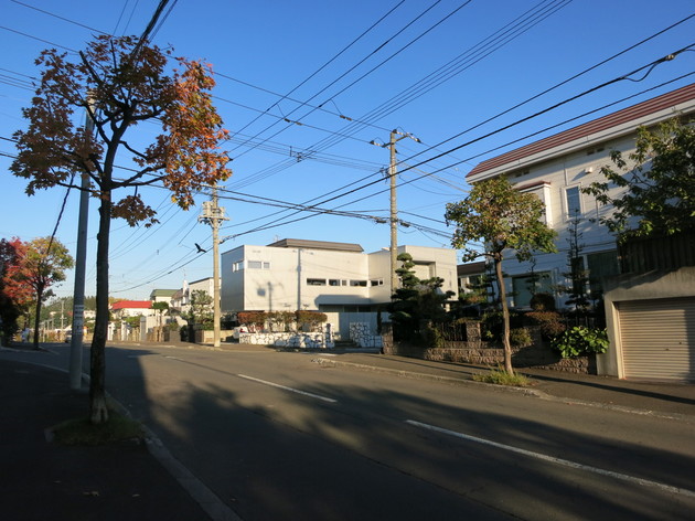 img_20140802-094520.jpg
