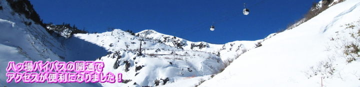 img_20131116-002020.jpg