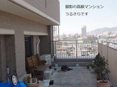 img_20140417-020647.jpg