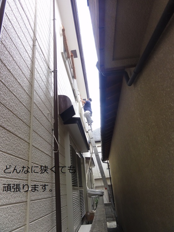 img_20140619-010552.jpg