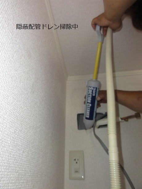 img_20140702-014330.jpg