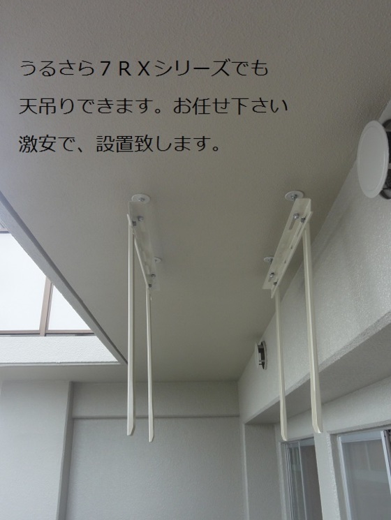 img_20140731-063045.jpg
