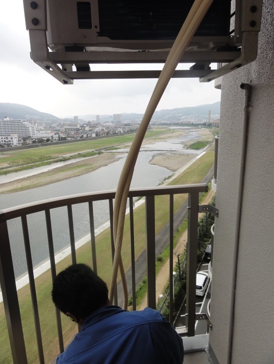 img_20140731-064848.jpg