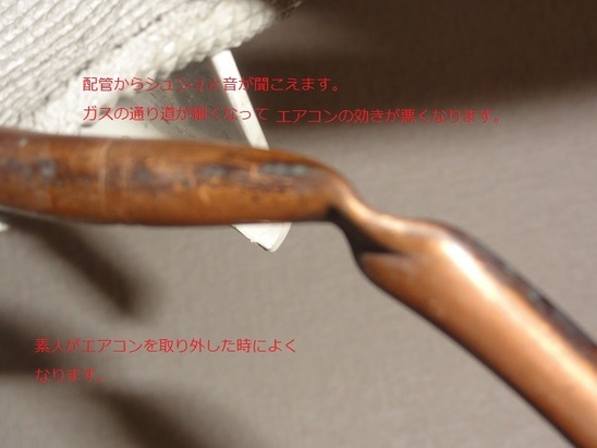 img_20140731-070336.jpg