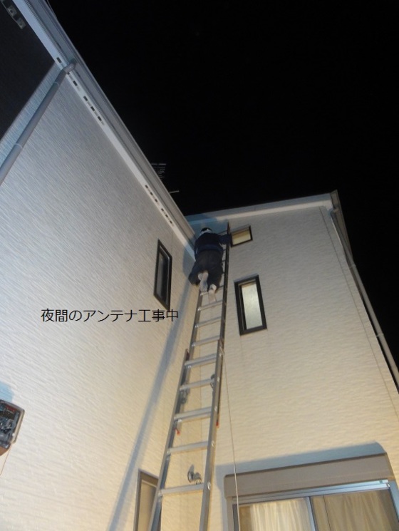img_20140731-075854.jpg