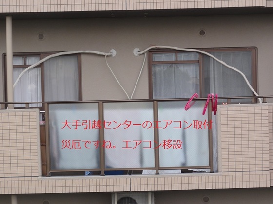 img_20150106-115641.jpg