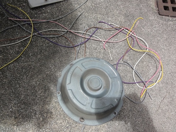 img_20150723-005012.jpg
