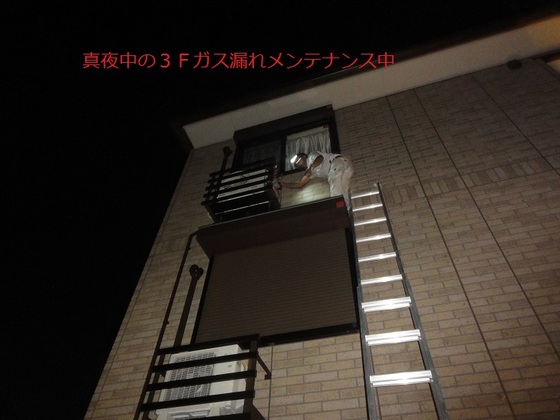img_20150801-020129.jpg