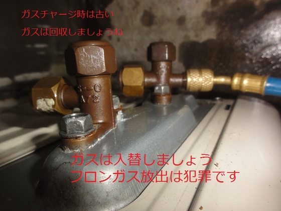img_20150816-205308.jpg