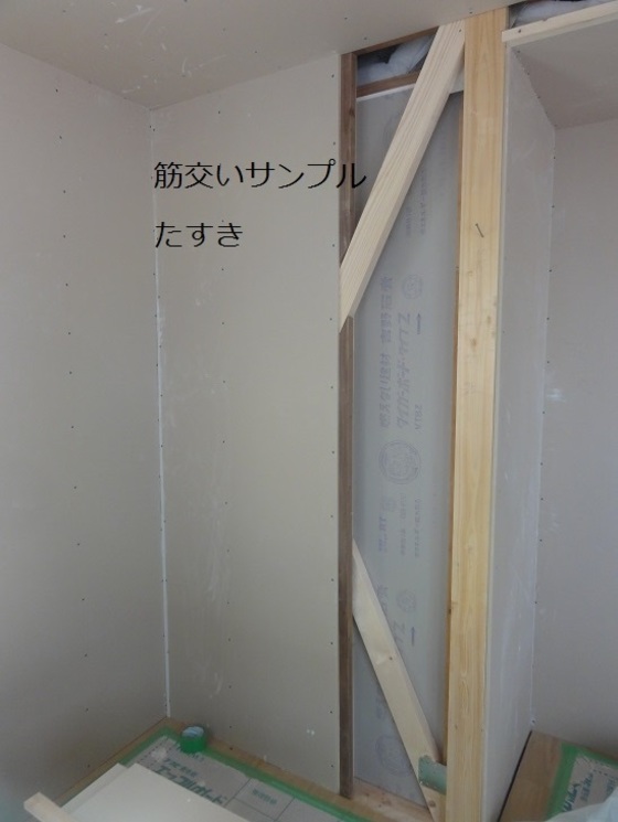 img_20150816-212923.jpg