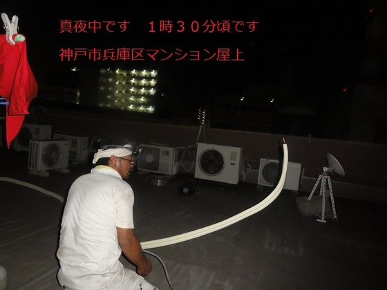 img_20150817-013055.jpg
