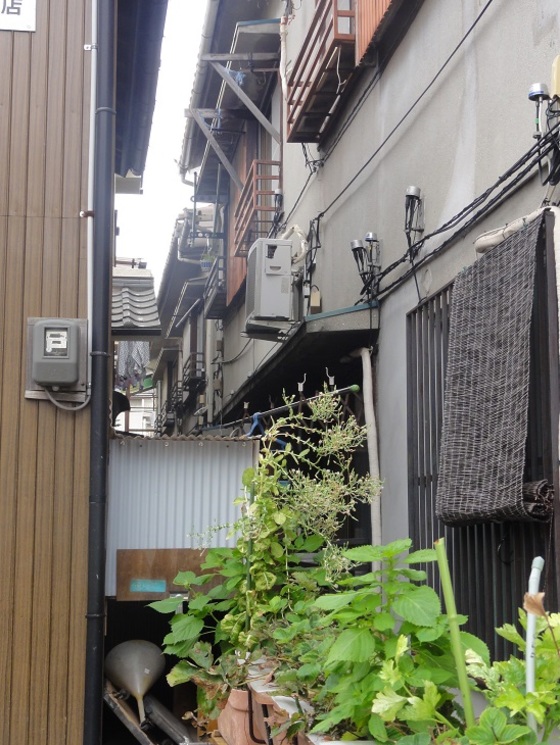 img_20150818-003021.jpg
